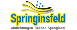 Springinsfeld SV GmbH 